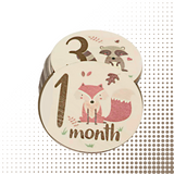 Monthly wooden baby milestone discs - WOODLAND