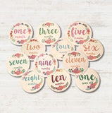 Monthly wooden baby milestone discs - FLORAL FIELDS